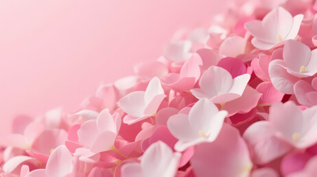 粉色花瓣斜坡渐变背景