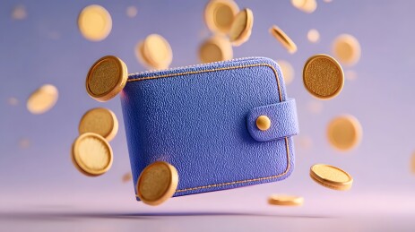 蓝色钱包金币飞舞