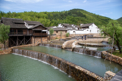 小镇粉墙黛瓦古建筑群生态景观，高视角