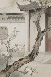 古院梅枝静谧