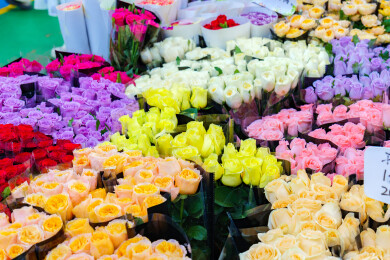 云南昆明斗南花市