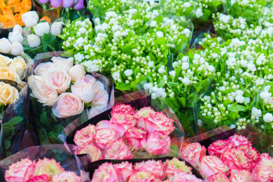 云南昆明斗南花市