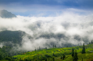 云端梯田，丰景迷人