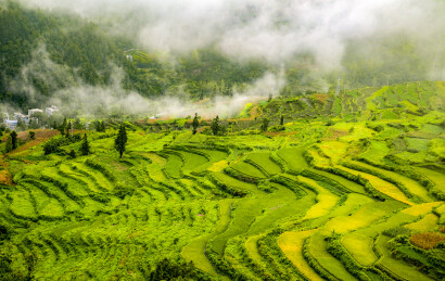 云端梯田，丰景迷人