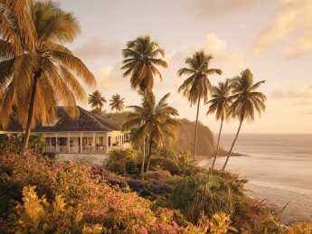 海边椰林旁的美丽建筑