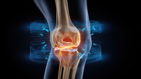 膝关节结构的医学影像分析