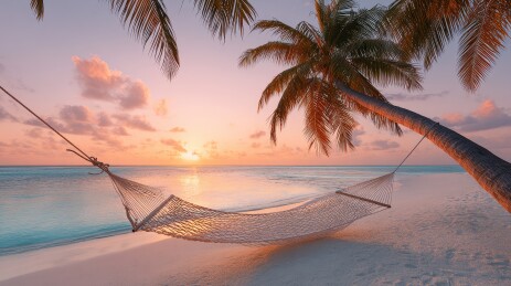 夕阳下沙滩吊床与棕榈树
