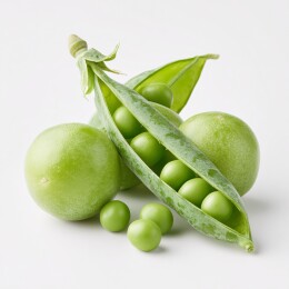 新鲜青豌豆静物图