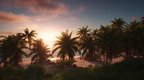 海滩椰林夕阳美景