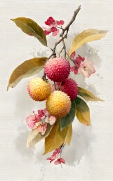 荔枝果枝盛放水彩画