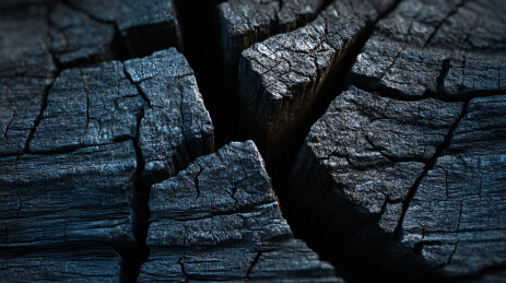 烧焦木头纹理特写图
