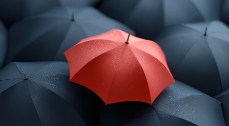 黑色的雨伞中一把红色的雨伞