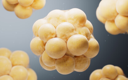 黄色微观脂肪细胞三维渲染