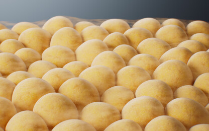 黄色微观脂肪细胞三维渲染