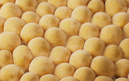 黄色微观脂肪细胞三维渲染