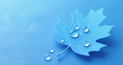 蓝色白露节气简约梧桐树叶背景