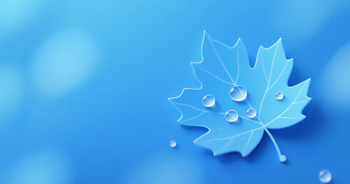 蓝色白露节气简约梧桐树叶背景