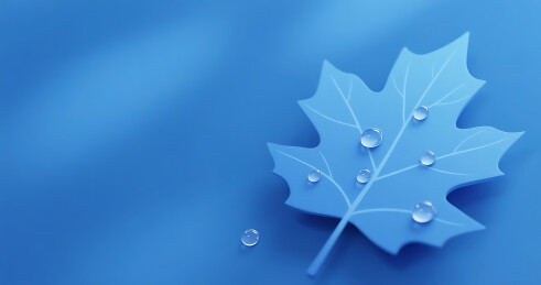 蓝色白露节气简约梧桐树叶背景