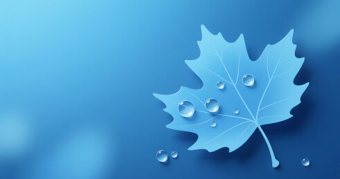 蓝色白露节气简约梧桐树叶背景