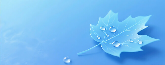 蓝色白露节气简约梧桐树叶背景