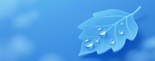 蓝色白露节气简约梧桐树叶背景