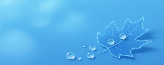 蓝色白露节气简约梧桐树叶背景