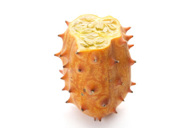 火参果刺角瓜