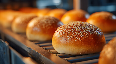 面包生产线特写