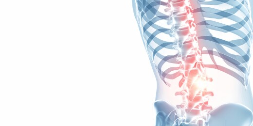 人体胸部心脏区域疼痛示意图