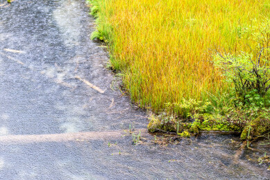 中国九寨沟草海雨中风景