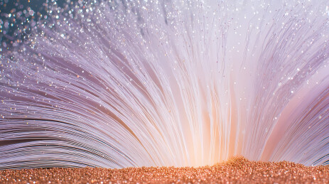 沙尘风暴中的光芒