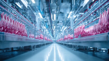 现代化肉类加工生产线