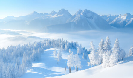 冬季滑雪森林高山滑雪场插画