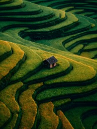 梯田中的小屋自然美景