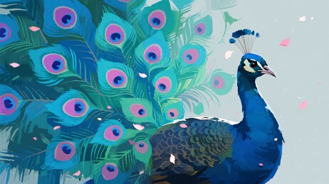 美丽插画风格的开屏孔雀