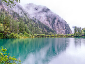 中国九寨沟风景区箭竹海景色