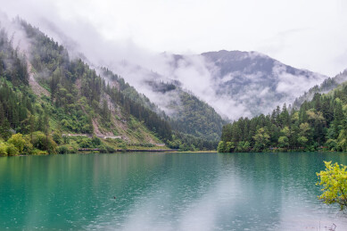 中国九寨沟风景区箭竹海景色