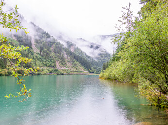 中国九寨沟风景区箭竹海景色