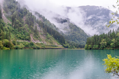 中国九寨沟风景区箭竹海景色