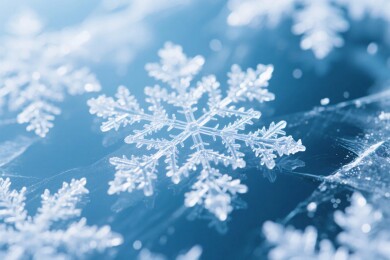 精致雪花特写