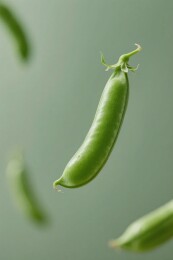 悬浮在空中的新鲜青豆荚