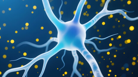 淡蓝色神经元结构图