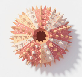 海胆剪纸风格的动物插画艺术