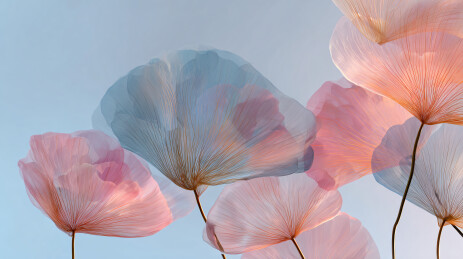 粉纱花朵唯美艺术图