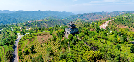 中国云南普洱中华普洱茶博览苑问茶楼航拍