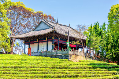 中国云南普洱中华普洱茶博览苑茶祖殿