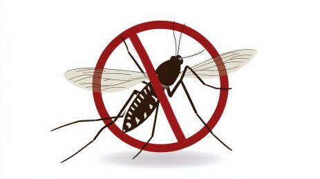 消灭蚊虫守护健康