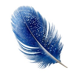 带有白点的蓝色羽毛