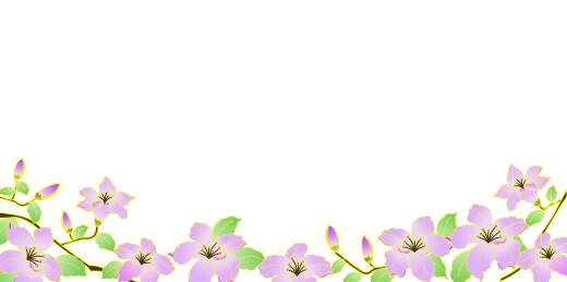 中国风国潮紫荆花插画