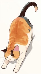 躺在地上的慵懒猫咪